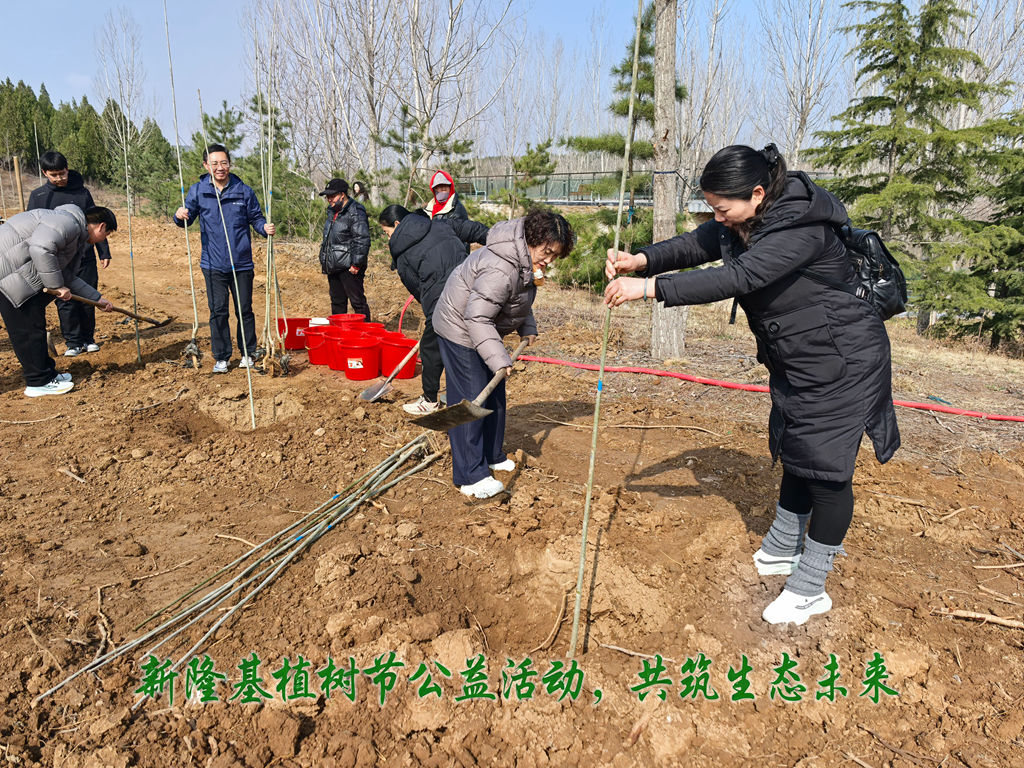 新隆基項(xiàng)目管理有限公司主辦植樹(shù)節(jié)公益活動(dòng) 叢臺(tái)區(qū)新聯(lián)會(huì)攜手添綠共筑生態(tài)未來(lái)